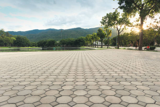 Best Driveway Pavers Near Me  in Spout Springs, NC